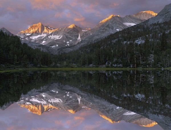 USA, California Marsh Lake at sunrise